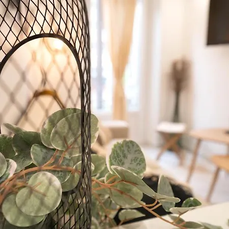 Magic Design Nizza