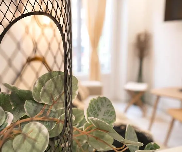 Magic Design Nizza